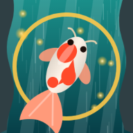 Koi Rise